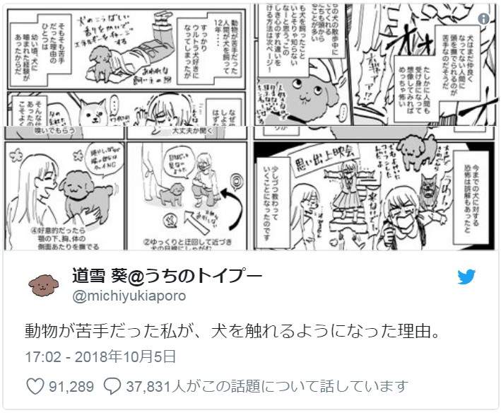 饲主分享如何跟狗狗漫画 怕狗的人都会变成狗痴