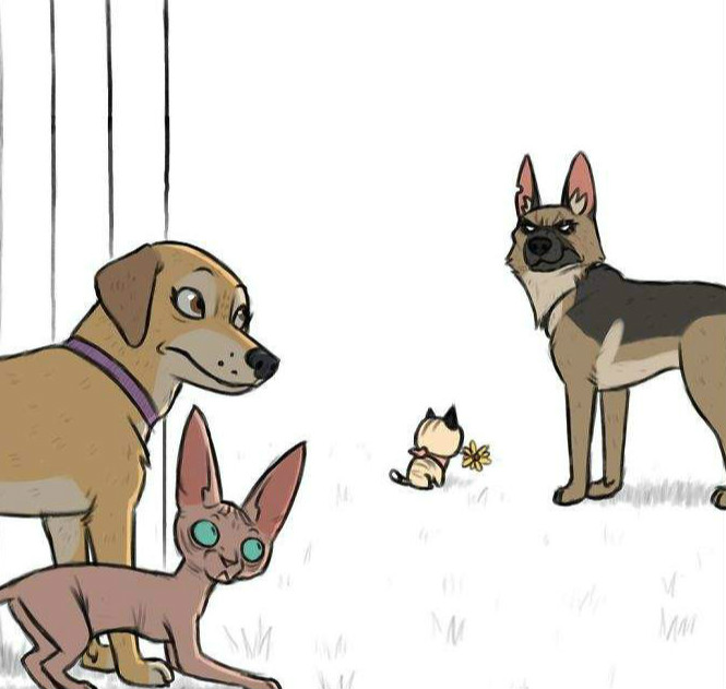 《小精灵与布鲁托》新作 漫画家Ben Hed分享退役军犬的过去