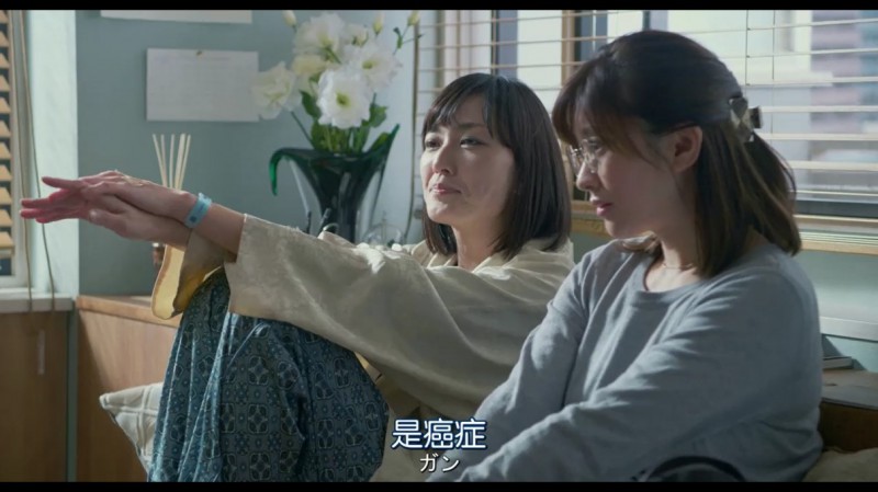 [阳光姐妹淘日版][HD-MP4/1.9G][日语中字][720P][豆瓣8.7高分改编经典大作]