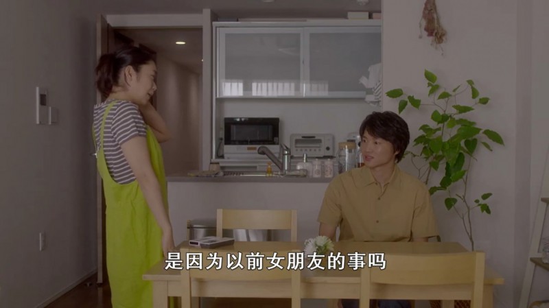 [闪耀人生的眼镜][HD-MP4/1.7G][日语中字][720P][改编森泽明夫同名小说]