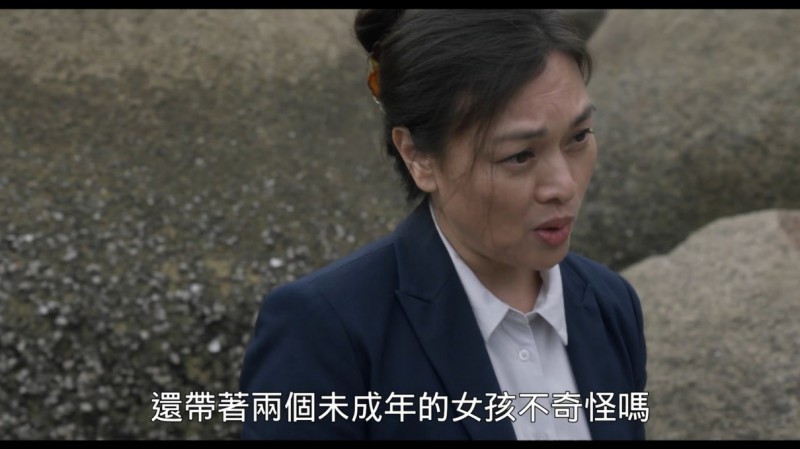 [嘉年华][1080P][WEBRip-mkv/2.78G][台版国语中字][获得众多大奖]