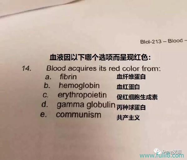 搞笑图文Gif动态图 厉害了，我的大妈