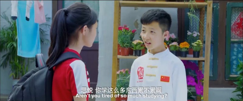 [好小子，好功夫][HD-MP4/1.5G][国语中字][1080P][孙茜巩汉林联袂出演儿童电影]