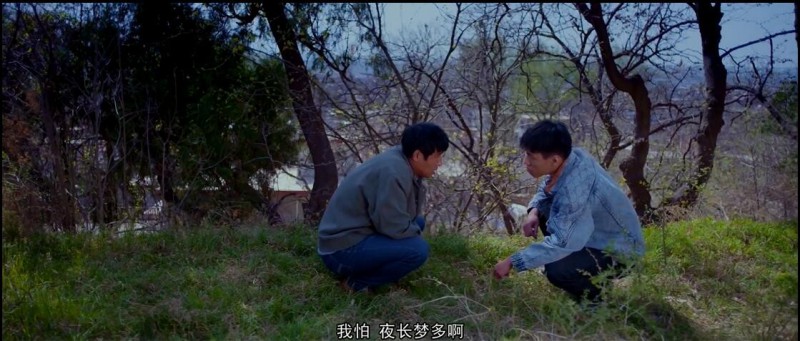 [长安夜盗][HD-MP4/1.3G][国语中字][1080P][难兄难弟智擒盗宝贼]