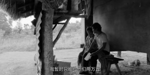 [黑猩猩][HD-MP4/2.7G][中文字幕][1080P][暴力和压迫无处不在]