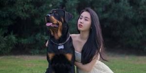【迈博体育myball】女主重生在火车上醒来 人生得意须尽欢