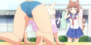 日本动画《猫娘乐园》 嘉祥与猫娘卖萌打滚