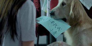 [犬爱奇缘][HD-MP4/1.4G][国语中字][720P][与狗狗斗智斗勇的趣味故事]