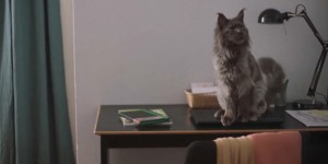 [功能失常的猫][HD-MP4/1.5G][德语中字][1080P][试婚需谨慎]