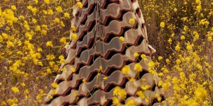 Ulla Johnson Resort 2024 ，早春型录画册，加州拍摄💛💛🔥 ​​​