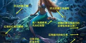 網調侃《小美人魚》綁髒辮出水片段像哥吉拉！女主角曝：甩髮動作脖子差點斷掉