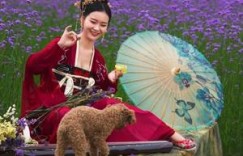 【迈博体育myball】武林美妇人娇呻浪吟 农村男女小说