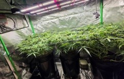 继BTS后今年第二组！CORTIS迷你二辑《GREENGREEN》达成三百万销量