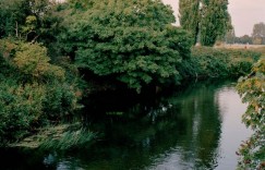 《Parklife》是伦敦摄影师 Sophia Spring 献给伦敦公园的一封情书，纪录了在这城市绿地中的空间与人。（18P）