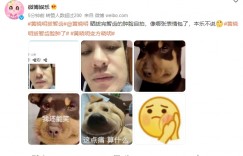 黃曉明帥顏大毀容！「腫成國字臉」崩潰求助　震撼照瘋傳網看傻：整個都方了