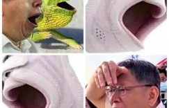 Ｐ在脸上无违和！《开口大笑的粉红球鞋》与真人相似度超高！