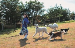 乃木坂46北野日奈子第二本个人写真集新照公开！小露性感展现超美身形