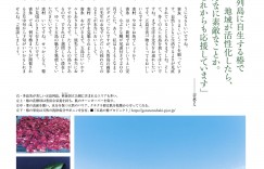 吉永小百合 家庭画報 2022年4月号
