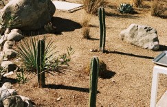 Apartamento Magazine歌手、作家、艺术家 Claire L. Evans 在洛杉矶的家