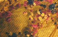 北野日奈子宣布加入经纪公司「am」堀未央奈之后第二位加入成员