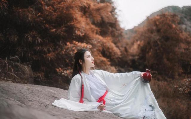 网络小说 经久不衰的5本网络小说,点击量破800万,你看过几本?