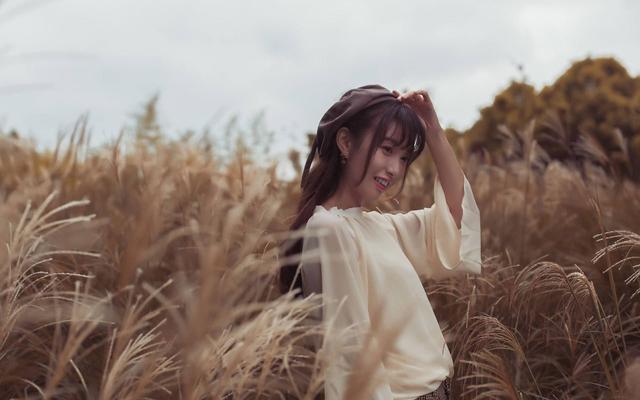 网络小说 经久不衰的5本网络小说,点击量破800万,你看过几本?
