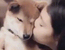 今年超两亿单身狗过七夕？猫友们可还好？
