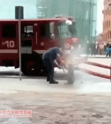 今年超两亿单身狗过七夕？猫友们可还好？