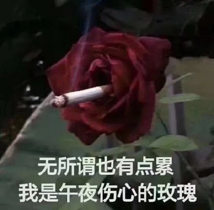 和对象同居是一种什么羞耻体验 同居后发现并不是很性福