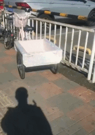 晨练路上,小姐姐要不要结个伴?