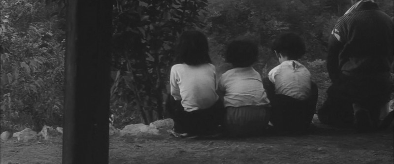 [饲育][MKV/2.87G][日语中字][高清1080P][活埋人][大岛渚作品]