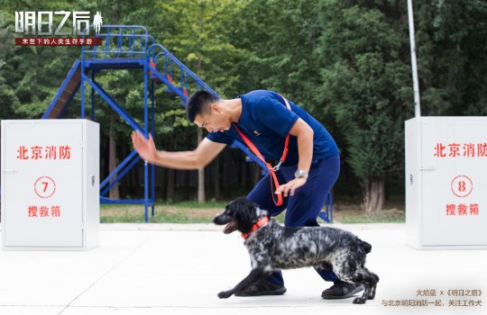 火焰蓝X《明日之后》科普开启 千万玩家共同关注工作犬 电脑新端游