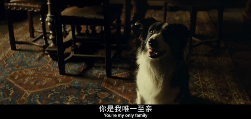 [北郊1936年][BD-MKV/2.2GB][1080P][英语中字][第82届奥斯卡金像奖 法式平民电影的丰碑]