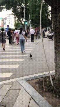 晨练路上,小姐姐要不要结个伴?