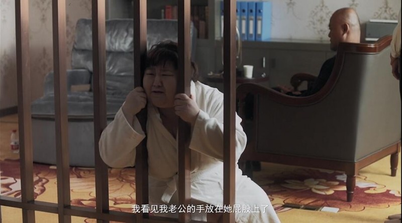 [罗非是条鱼][HD-MP4/1.9G][国语中字][1080P][抑郁症妻子的背叛与救赎]