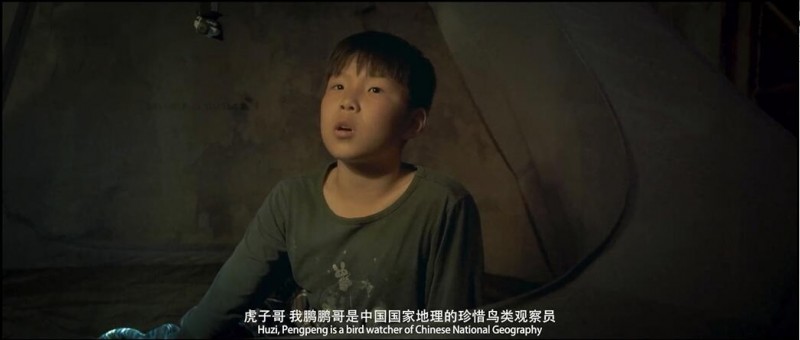 [云做的翅膀][HD-MP4/1.6G][国语中字][1080P][英勇少年丛林智斗偷猎贼]