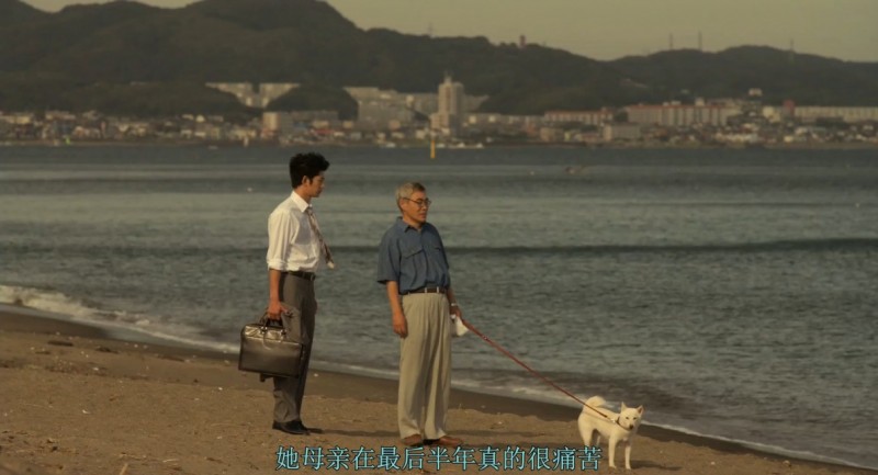 [生命最后一个月的新娘][BD-MKV/2.36GB][1080P][日语中字][日本爱情电影]
