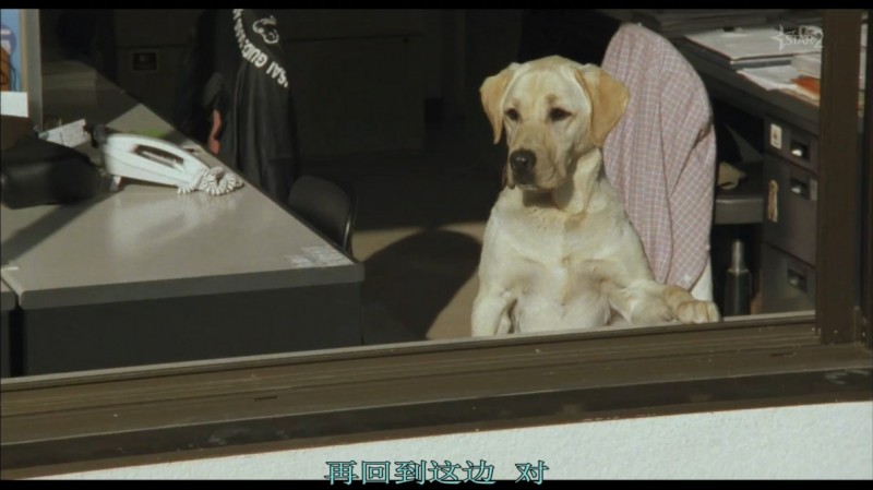 [导盲犬小Q][BD-MKV/1.58GB][1080P][日语中字][豆瓣8.4高分 日本温情电影]