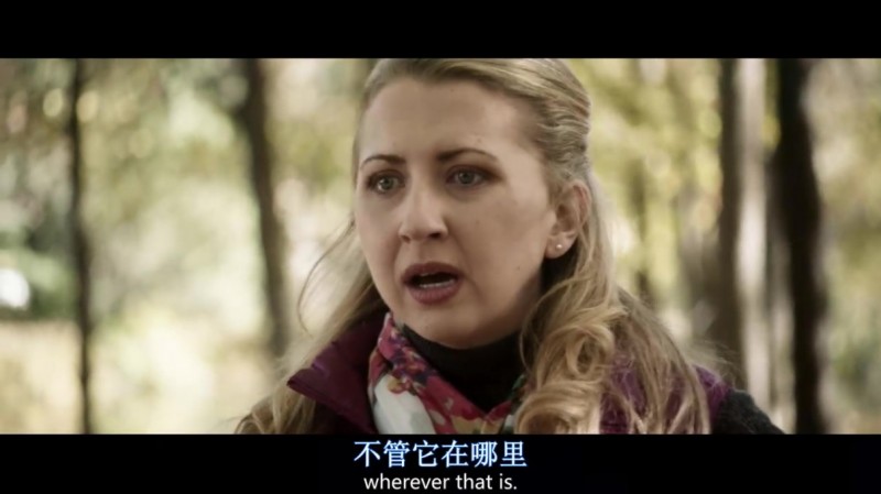 [低入尘埃][HD-MP4/1.96G][英语中字][1080P][欧美高分爱情电影]