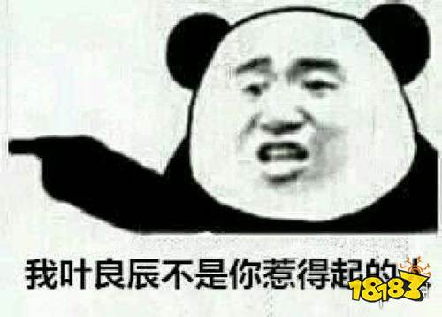 我叶良辰 叶良辰是什么梗 叶良辰梗出处介绍 回合端游