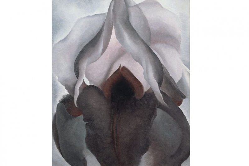 当女性生殖器被画在花里 你还能直视它吗