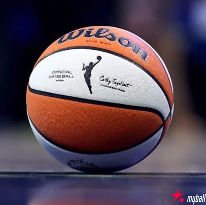 WNBA自由市场正式开启:80%球员成自由身,薪资暴涨引爆联盟重构,大发体育助力你的致富之路!